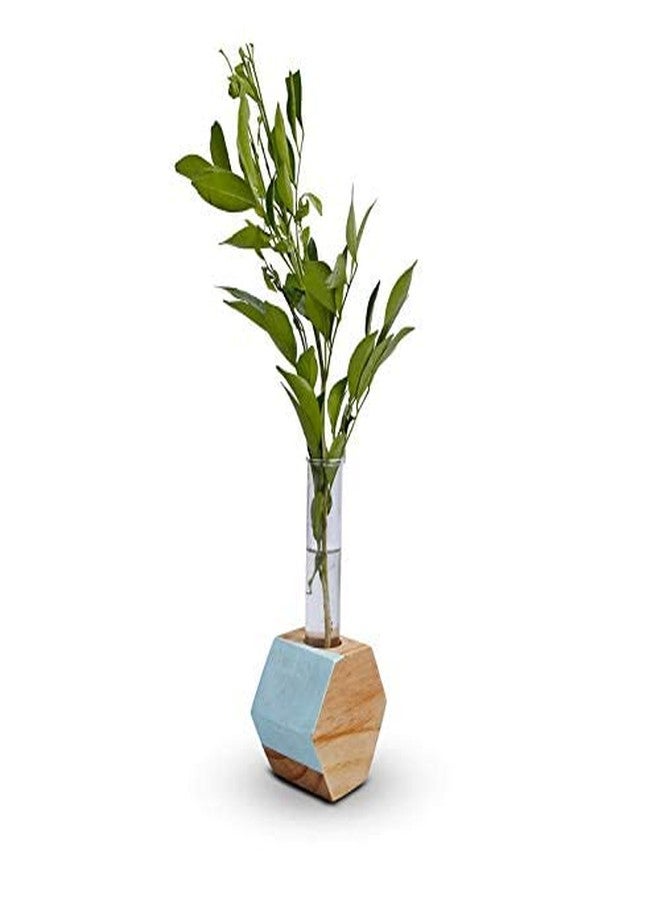 Sharpex Single Test Tube Wooden Plant Stand in Hexagon Shaped for Hydroponic Plants and beatifully Designed in Wooden Beige Color | Indoor, Outdoor | for Home Décor, Office Décor | - Image 4